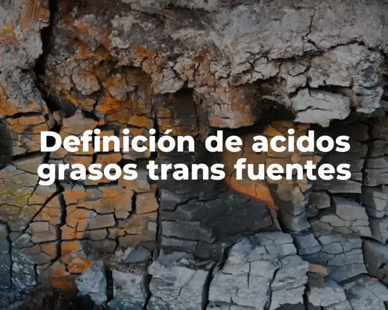 Definición de acidos grasos trans fuentes