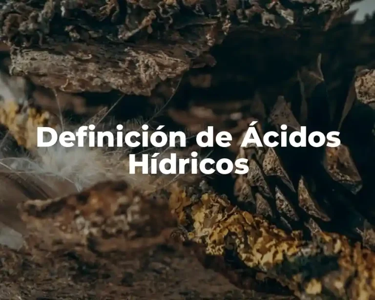Definición de Ácidos Hídricos