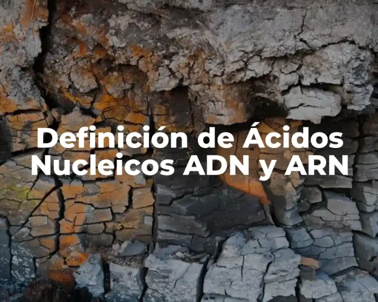 Definición de Ácidos Nucleicos ADN y ARN