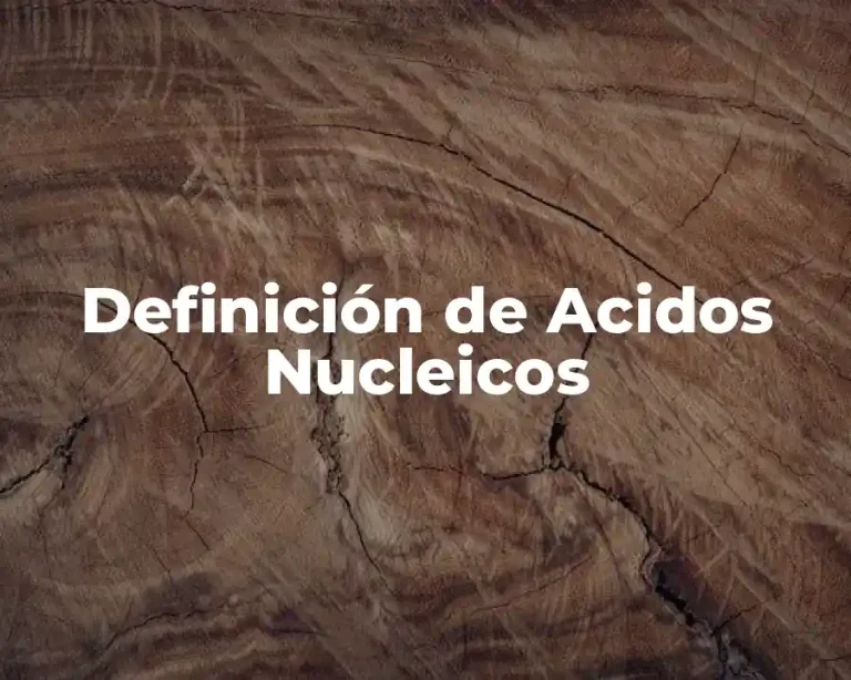 Definición de Acidos Nucleicos