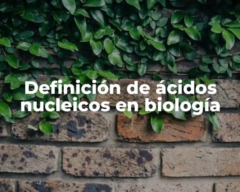Definición de ácidos nucleicos en biología