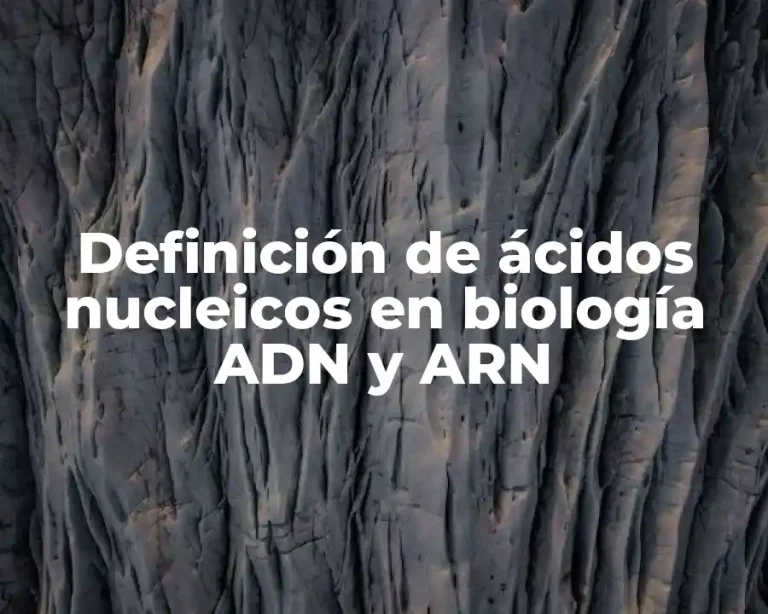 Definición de ácidos nucleicos en biología ADN y ARN