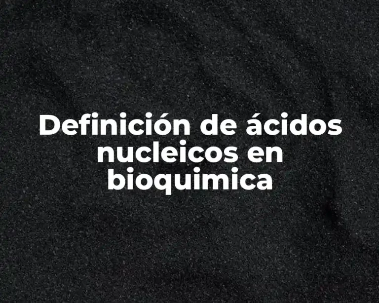Definición de ácidos nucleicos en bioquimica