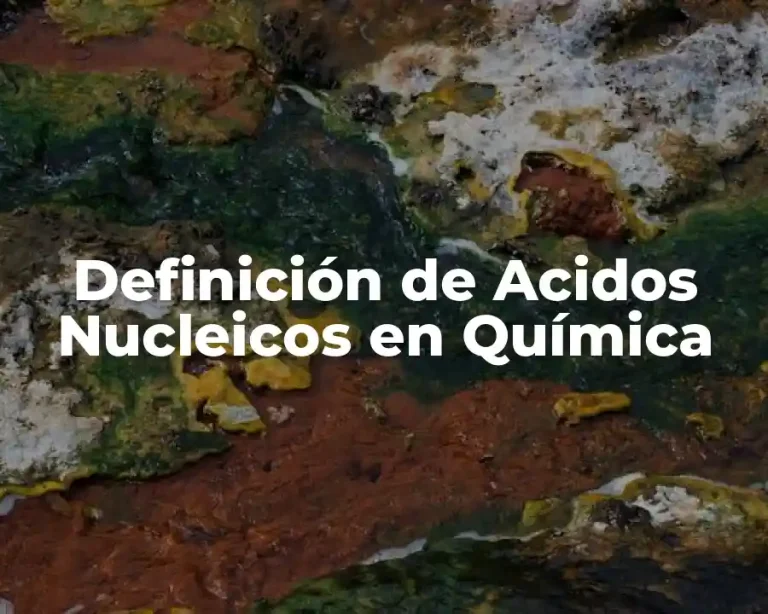 Definición de Acidos Nucleicos en Química