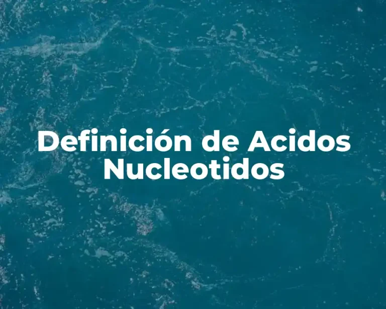 Definición de Acidos Nucleotidos