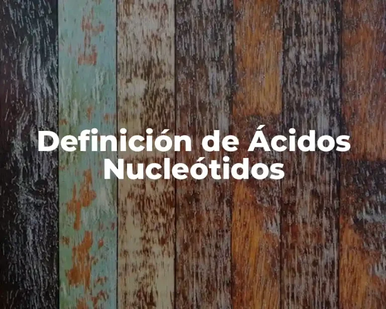 Definición de Ácidos Nucleótidos
