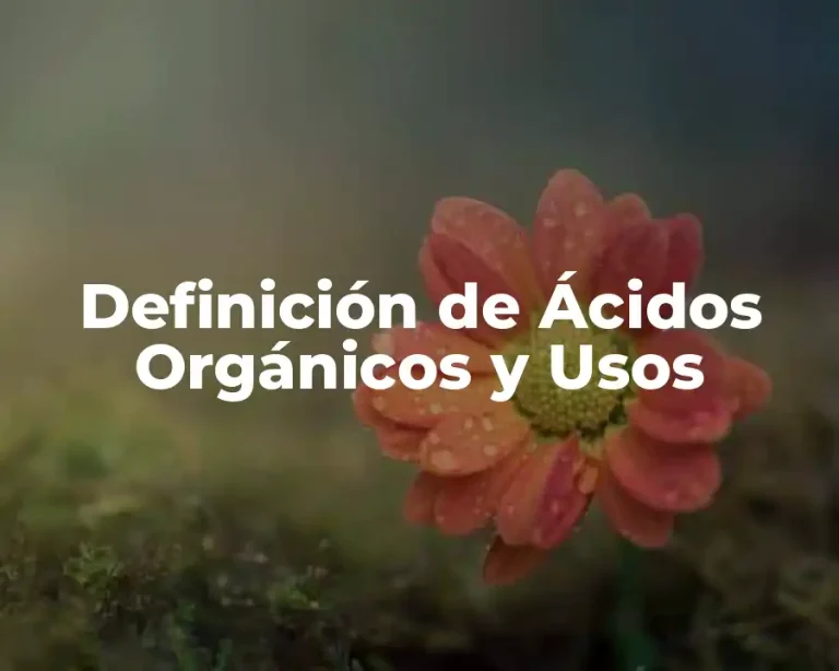 Definición de Ácidos Orgánicos y Usos