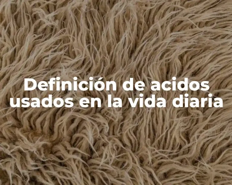 Definición de acidos usados en la vida diaria