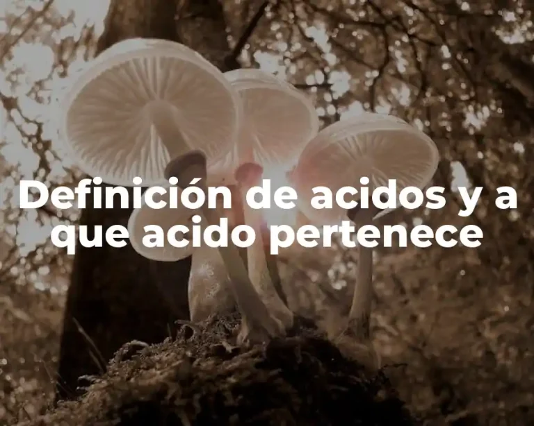 Definición de acidos y a que acido pertenece