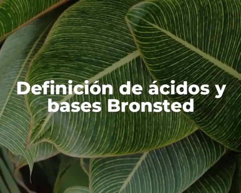 Definición de ácidos y bases Bronsted