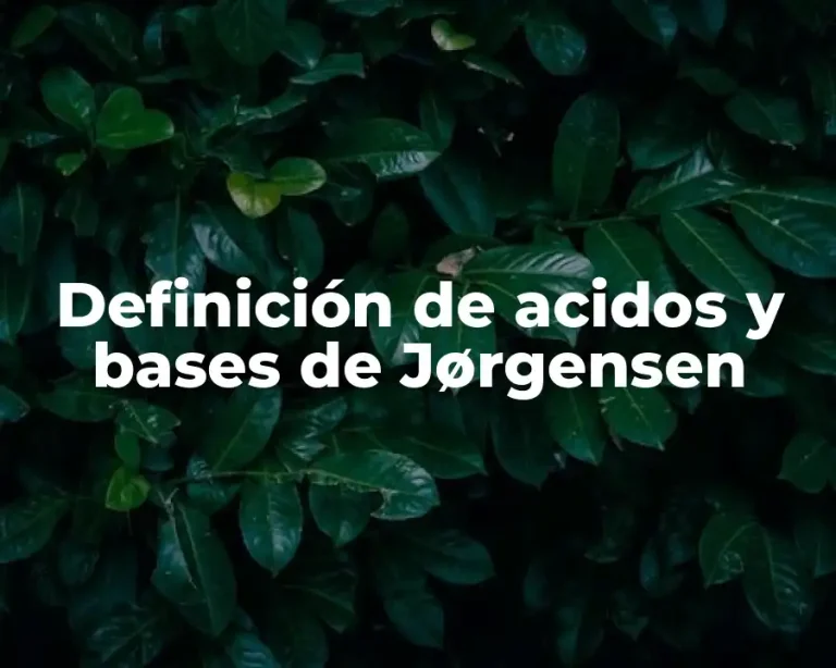 Definición de acidos y bases de Jørgensen