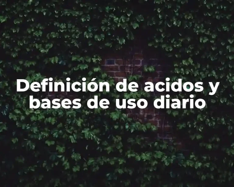 Definición de acidos y bases de uso diario