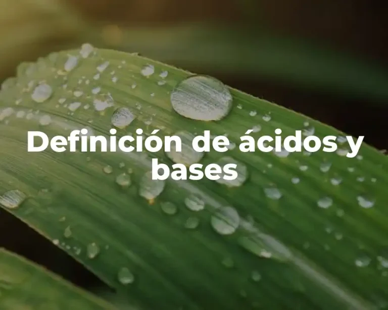 Definición de ácidos y bases