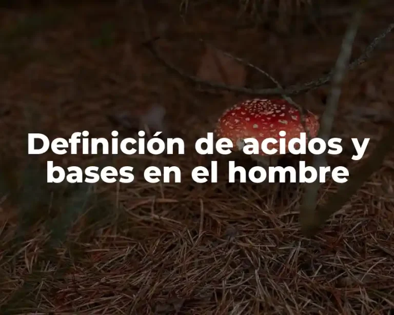 Definición de acidos y bases en el hombre