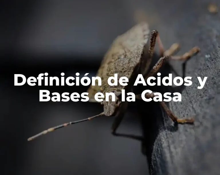 Definición de Acidos y Bases en la Casa