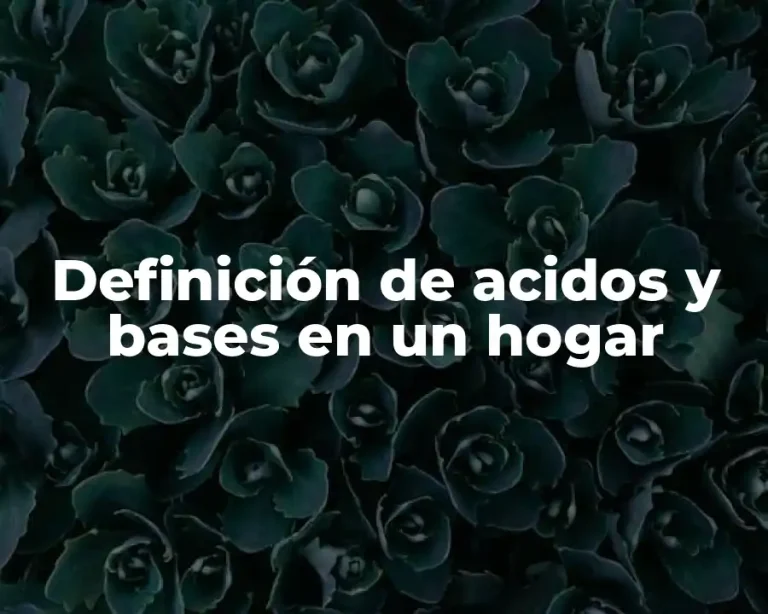 Definición de acidos y bases en un hogar