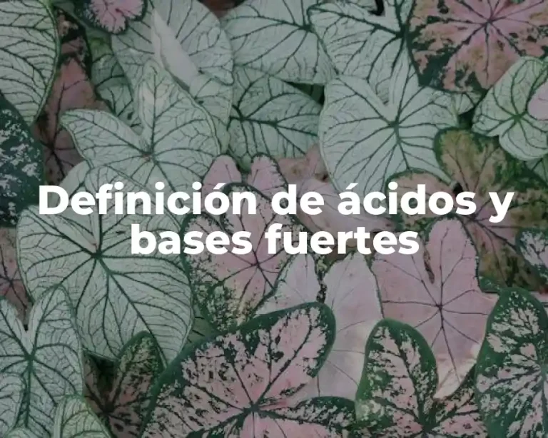 Definición de ácidos y bases fuertes