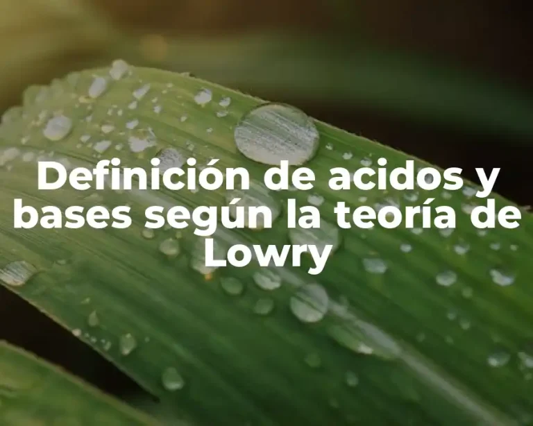 Definición de acidos y bases según la teoría de Lowry