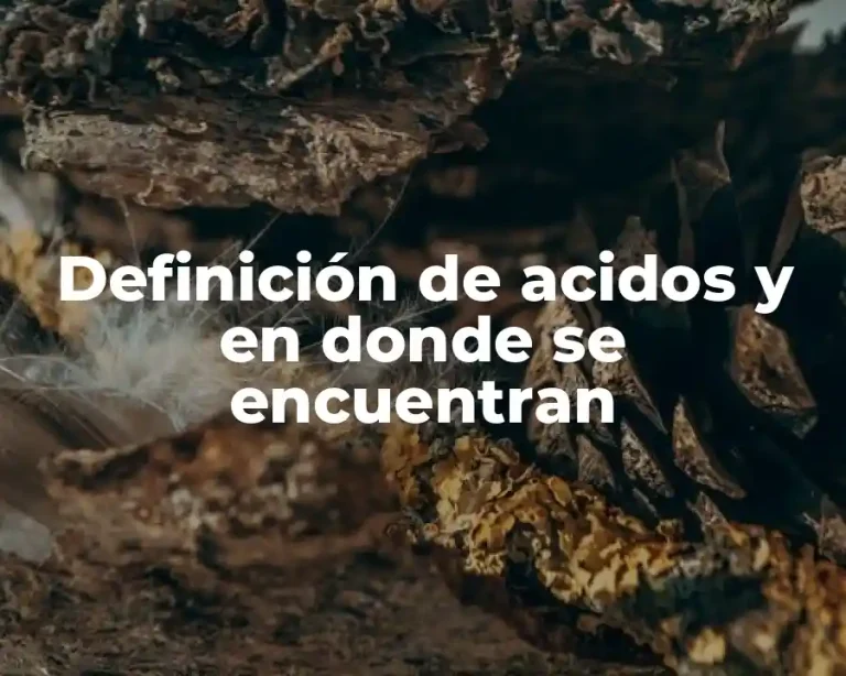 Definición de acidos y en donde se encuentran