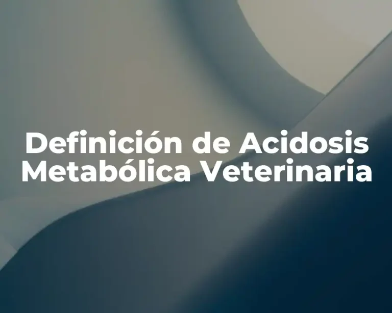 Definición de Acidosis Metabólica Veterinaria