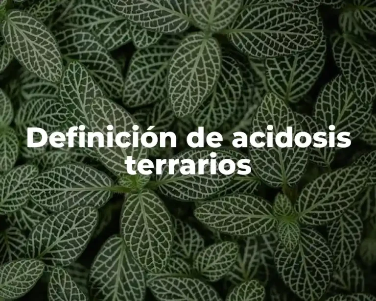 Definición de acidosis terrarios