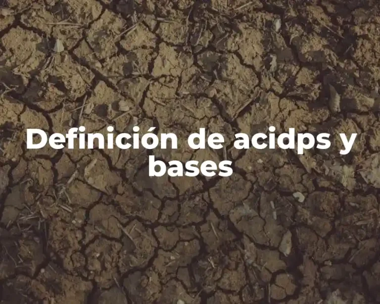 Definición de acidps y bases