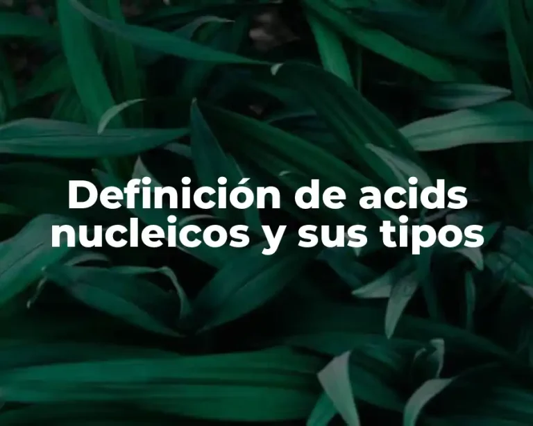 Definición de acids nucleicos y sus tipos