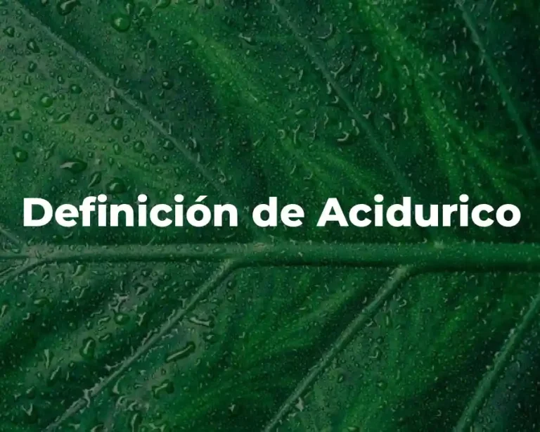 Definición de Acidurico
