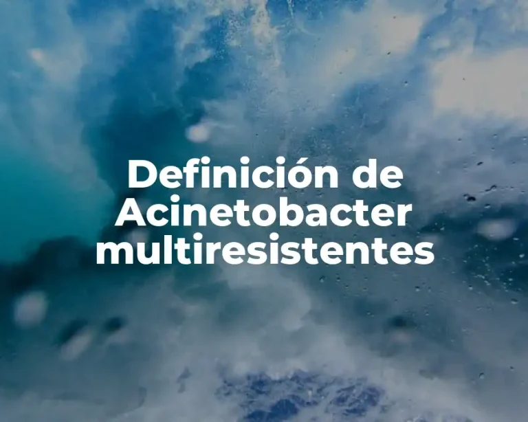 Definición de Acinetobacter multiresistentes