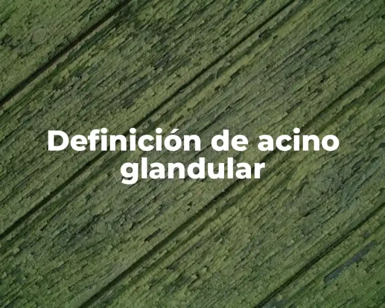 Definición de acino glandular
