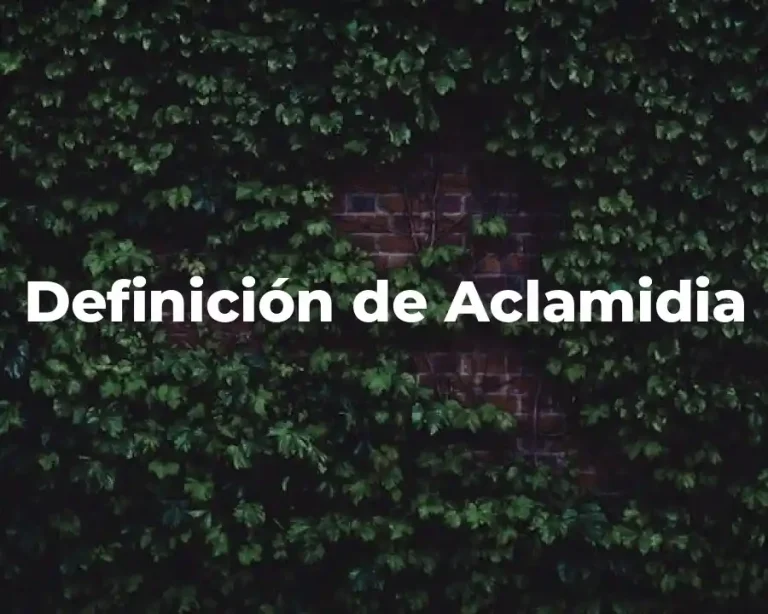 Definición de Aclamidia