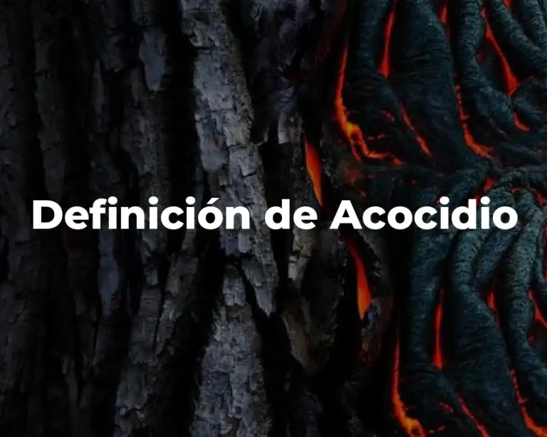 Definición de Acocidio
