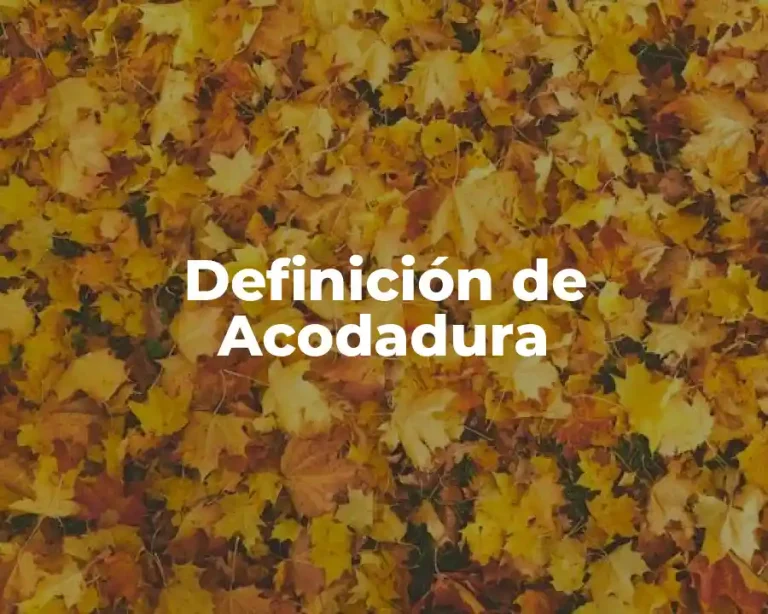 Definición de Acodadura