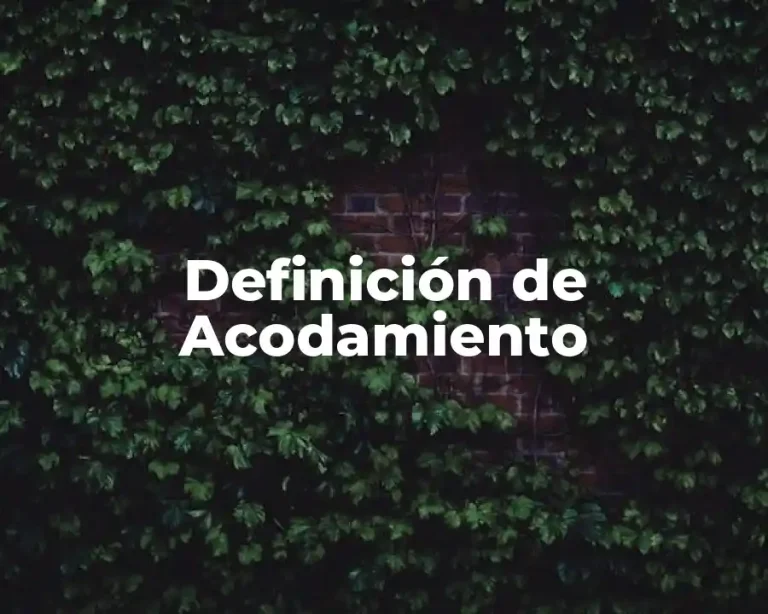 Definición de Acodamiento