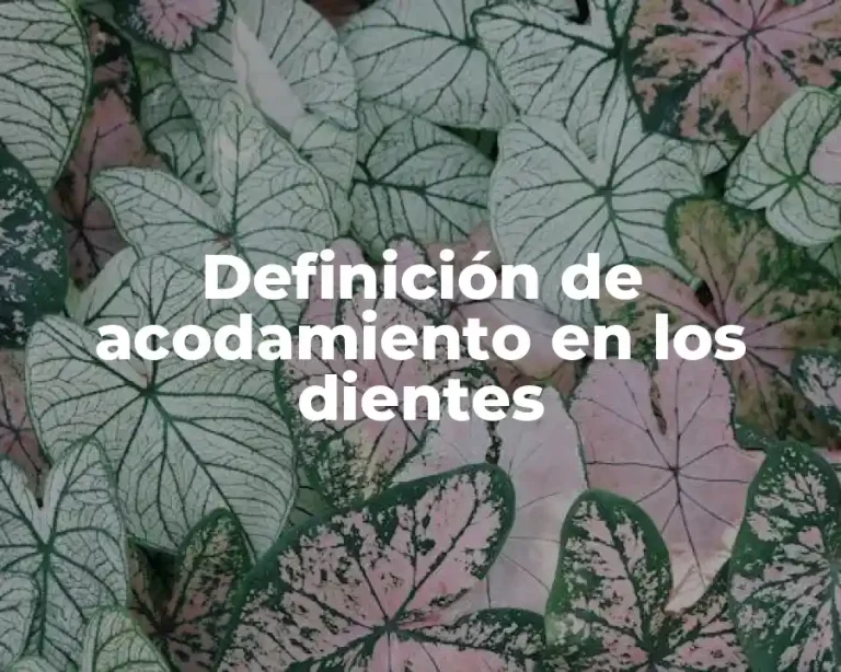 Definición de acodamiento en los dientes