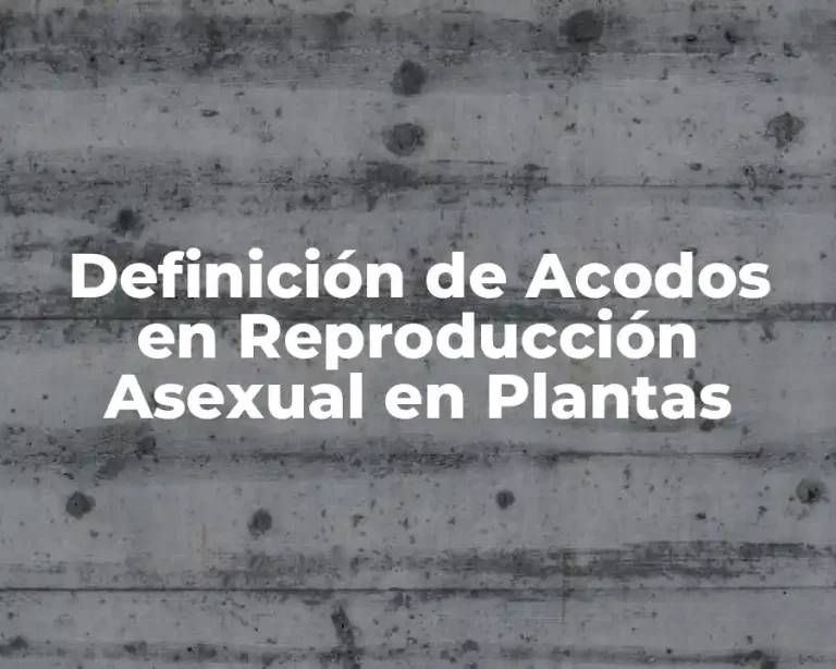 Definición de Acodos en Reproducción Asexual en Plantas