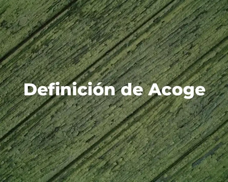 Definición de Acoge