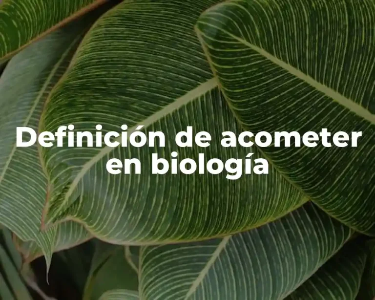 Definición de acometer en biología