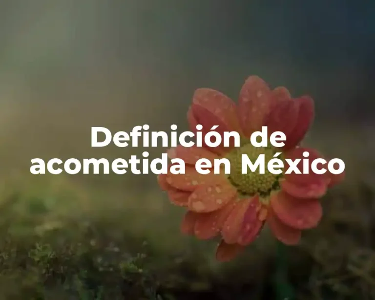 Definición de acometida en México