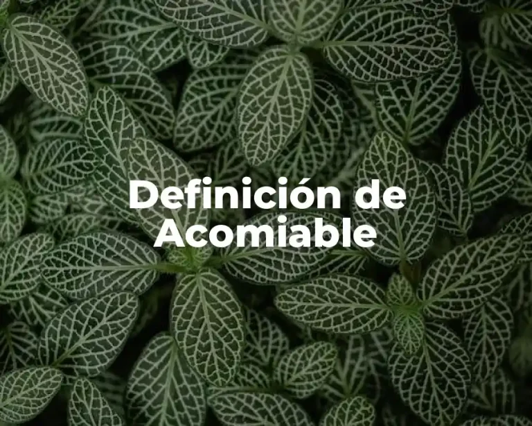 Definición de Acomiable