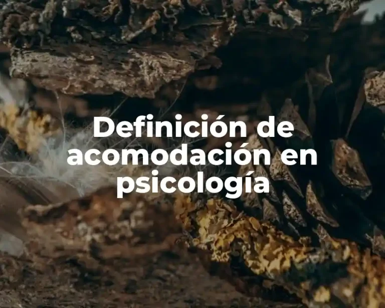 Definición de acomodación en psicología
