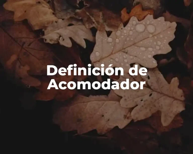 Definición de Acomodador