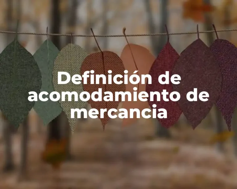 Definición de acomodamiento de mercancia