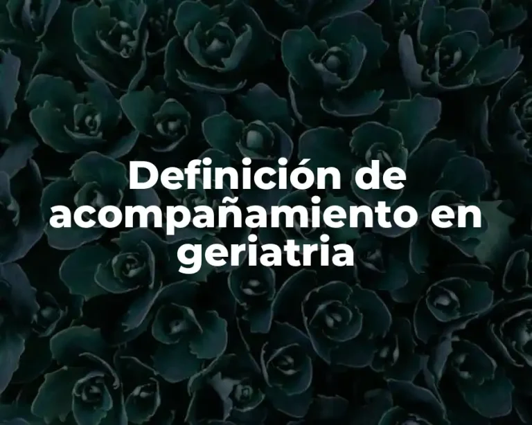 Definición de acompañamiento en geriatria