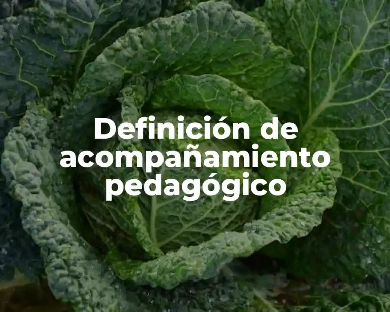 Definición de acompañamiento pedagógico