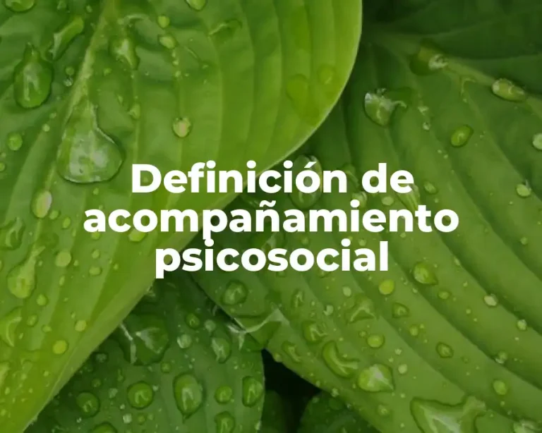 Definición de acompañamiento psicosocial