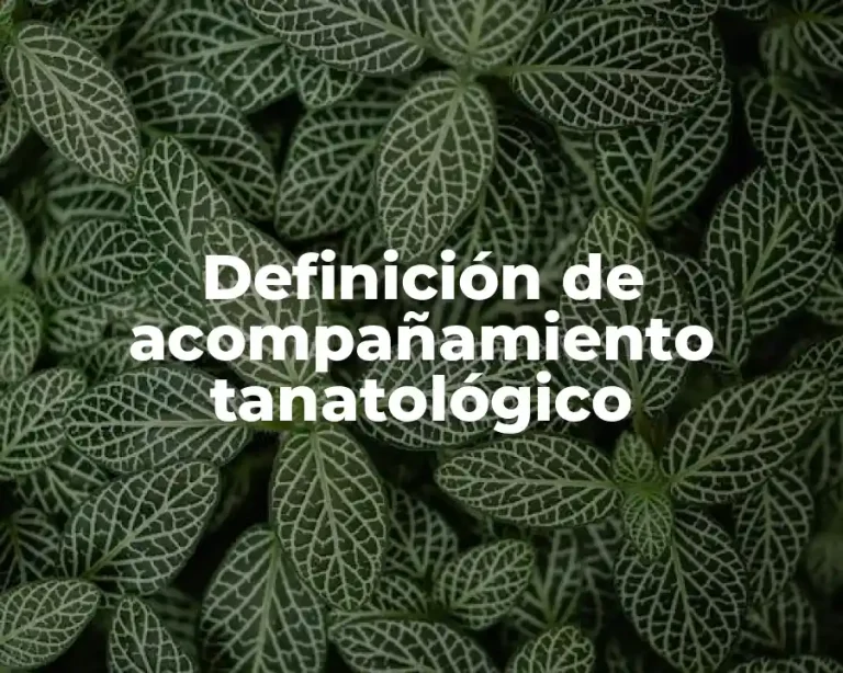 Definición de acompañamiento tanatológico