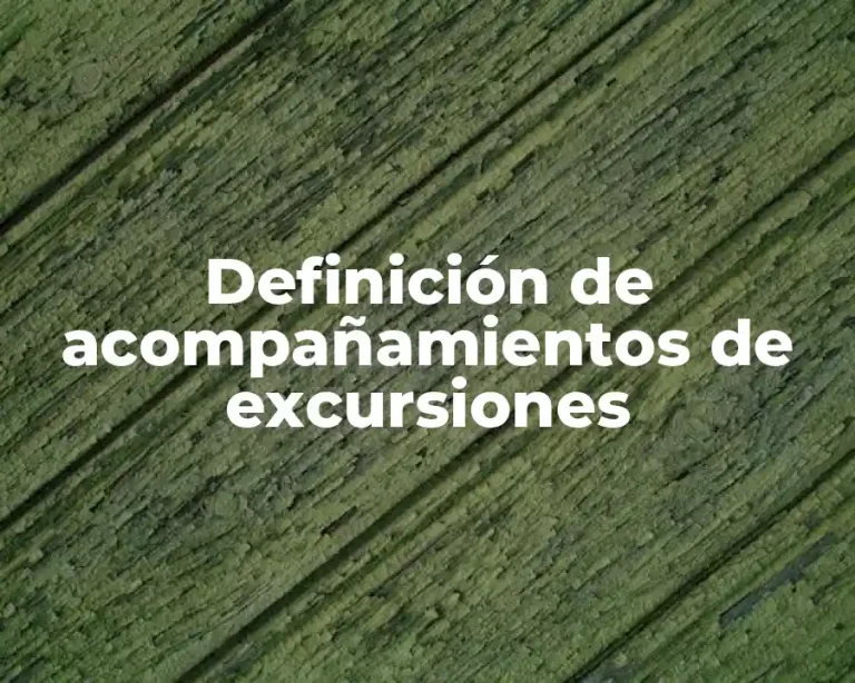 Definición de acompañamientos de excursiones