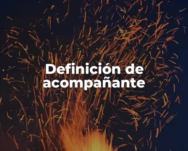 Definición de acompañante