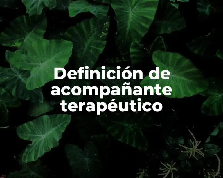 Definición de acompañante terapéutico